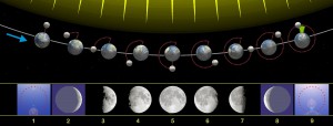 Calcolo mentale della fase lunare